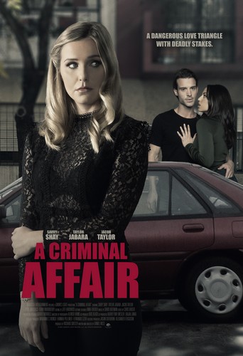 A Criminal Affair FRENCH WEBRIP LD 1080p 2021