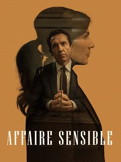 Affaire sensible FRENCH WEBRIP 720p 2022