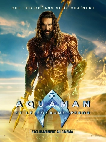 Aquaman et le Royaume perdu - Aquaman and the Lost Kingdom FRENCH WEBRIP 2023