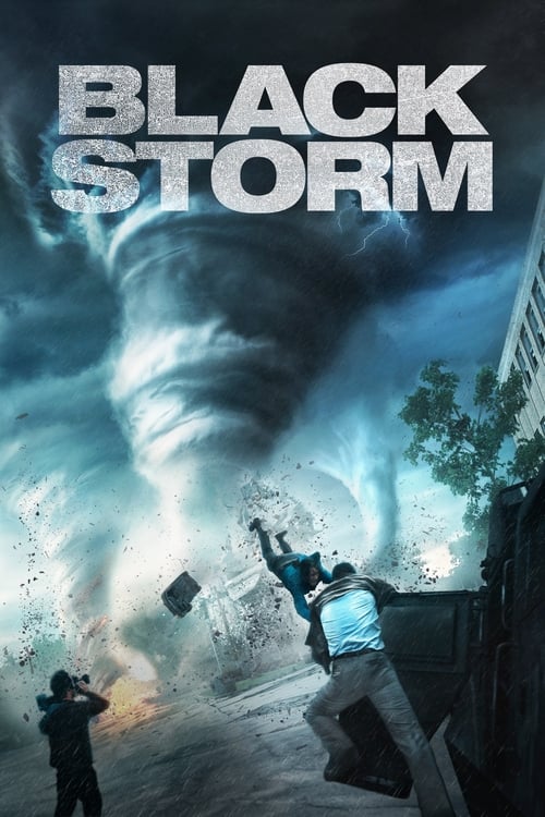 Black Storm - Into the Storm MULTI TRUEFRENCH HDLight 1080p 2014