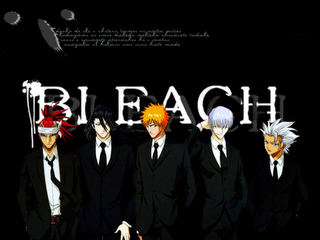 Bleach 365 VOSTFR HD