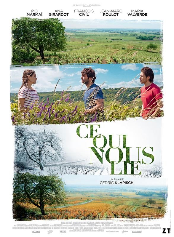 Ce qui nous lie FRENCH DVDRIP 2017