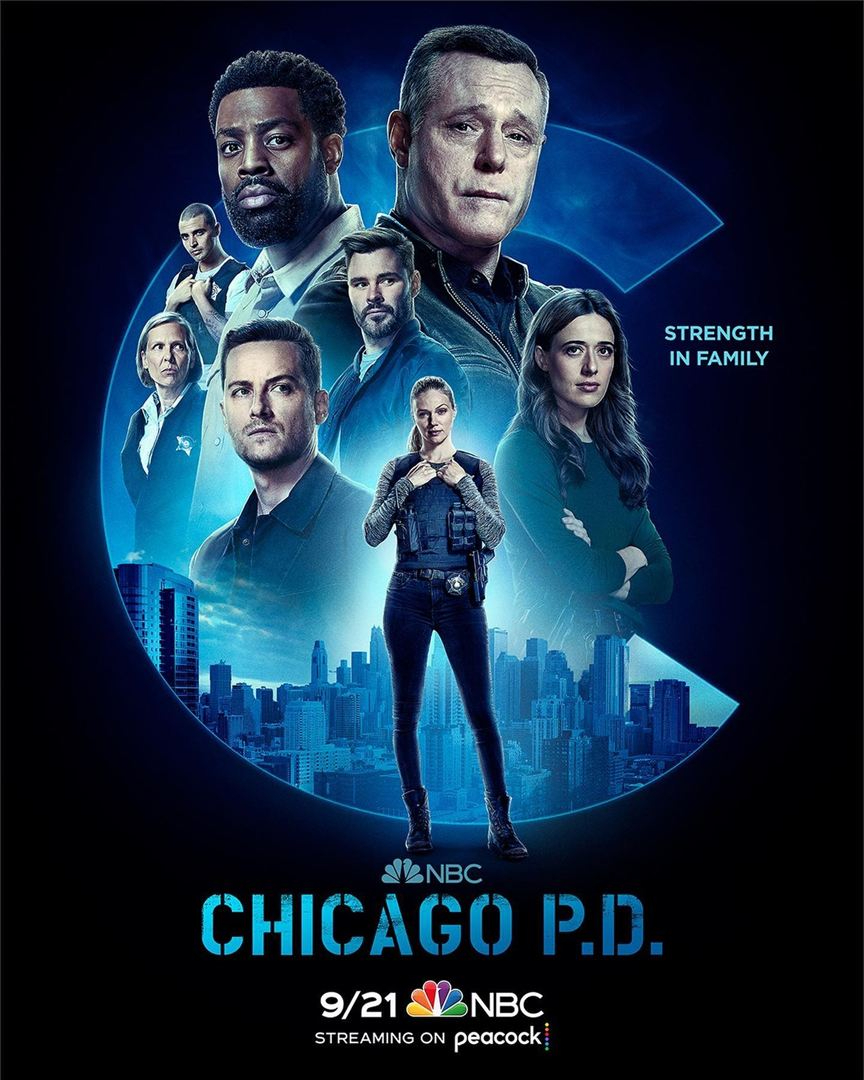 Chicago Police Department S10E14 VOSTFR HDTV