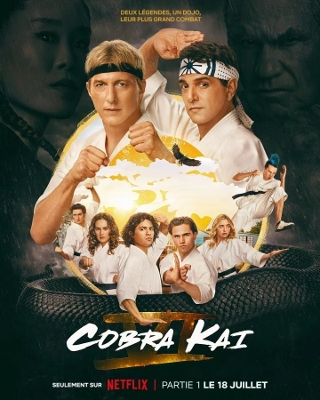 Cobra Kai S06E09 FRENCH HDTV 2024