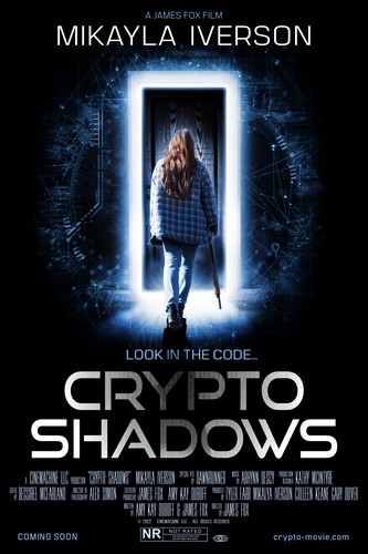 Crypto Shadows FRENCH WEBRIP LD 1080p 2024