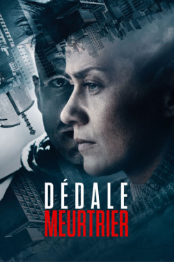 Dédale meurtrie FRENCH WEBRIP 1080p 2019