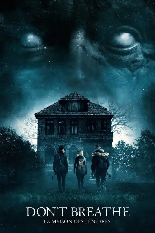 Don't Breathe : La maison des ténèbres TRUEFRENCH DVDRIP 2016