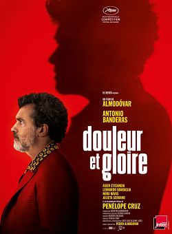 Douleur et gloire FRENCH DVDRIP 2019