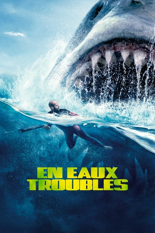 En eaux troubles MULTI FULL BLURAY 3D 2018