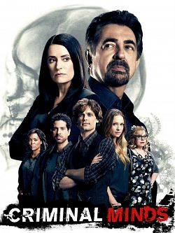 Esprits criminels (Criminal Minds) S13E13 FRENCH