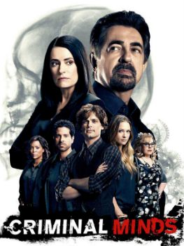 Esprits criminels (Criminal Minds) S14E08 VOSTFR