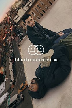 Flatbush Misdemeanors S01E01 FRENCH HDTV