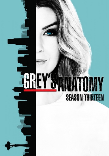 Grey's Anatomy S13E21 VOSTFR HDTV