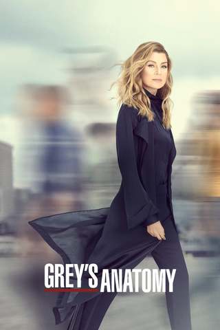 Grey's Anatomy S16E06 VOSTFR HDTV