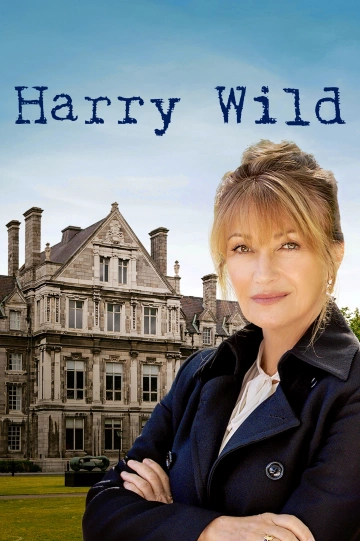 Harry Wild FRENCH S02E06 FINAL HDTV 2023