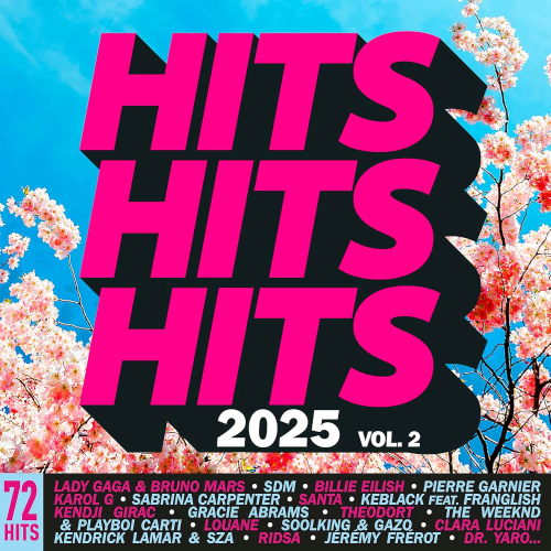 Hits Hits Hits Vol. 2 MP3 2025