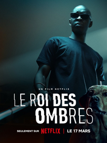 Le Roi des Ombres FRENCH WEBRIP 720p 2023