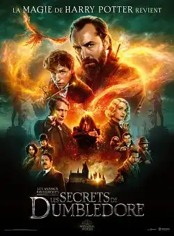 Les Animaux Fantastiques : les Secrets de Dumbledore TRUEFRENCH WEBRIP x264 2022