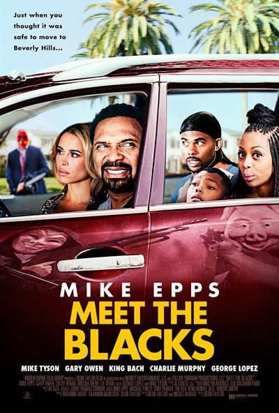 Meet The Blacks FRENCH DVDRIP 2016