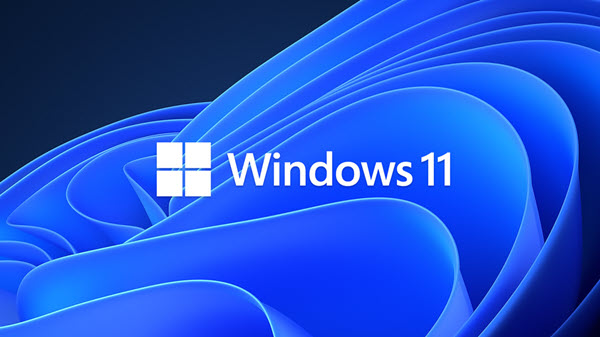 MICROSOFT WINDOWS 11 PRO V10.0.22000.318