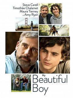 My Beautiful Boy TRUEFRENCH DVDRIP 2019