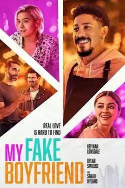 My Fake Boyfriend FRENCH WEBRIP 1080p 2022