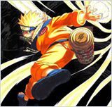 Naruto Shippuden 206 VOSTFR