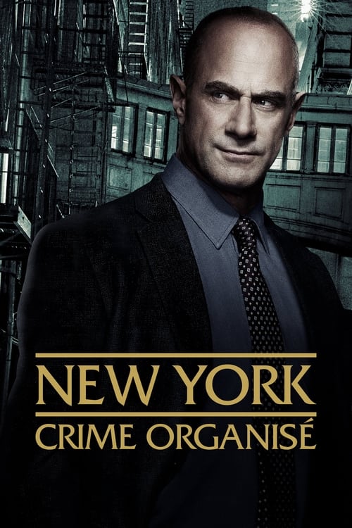 New York : Crime Organisé S04E04 MULTI HDTV 1080p 2024