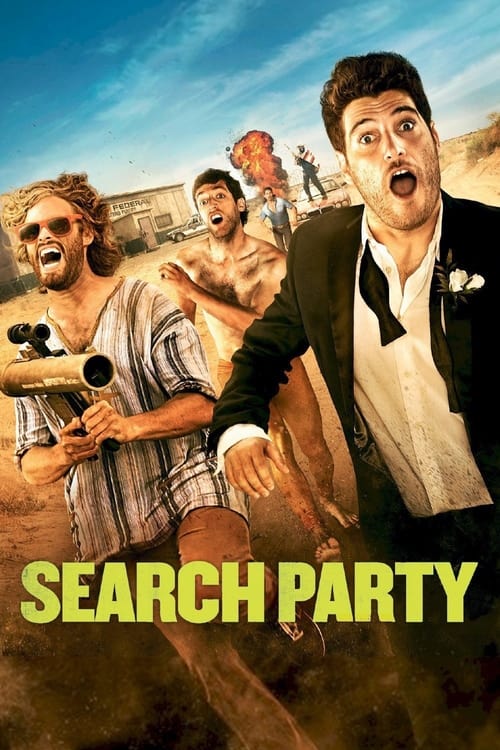 Search Party MULTI TRUEFRENCH HDLight 1080p 2014