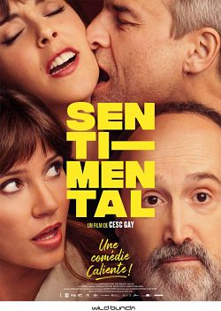 Sentimental FRENCH WEBRIP 720p 2021