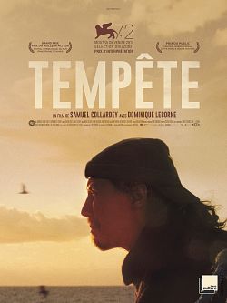 Tempête FRENCH WEBRIP 720p 2022