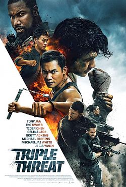 Triple Threat FRENCH BluRay 720p 2019