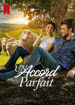 Un accord parfait FRENCH WEBRIP x264 2022