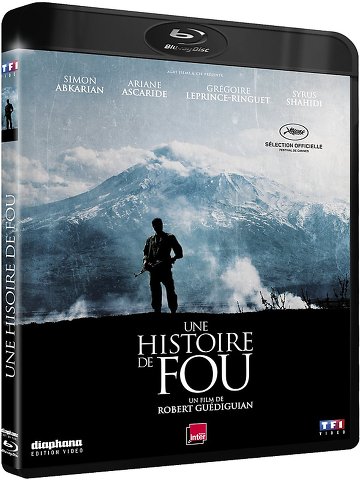 Une Histoire de Fou FRENCH BluRay 1080p 2015