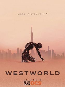 Westworld S03E04 VOSTFR HDTV