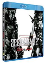 Zebraman 2 FRENCH DVDRIP AC3 2011